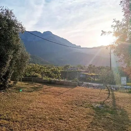 Elizabeth Villa *